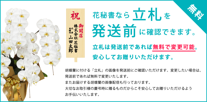 お祝いの胡蝶蘭